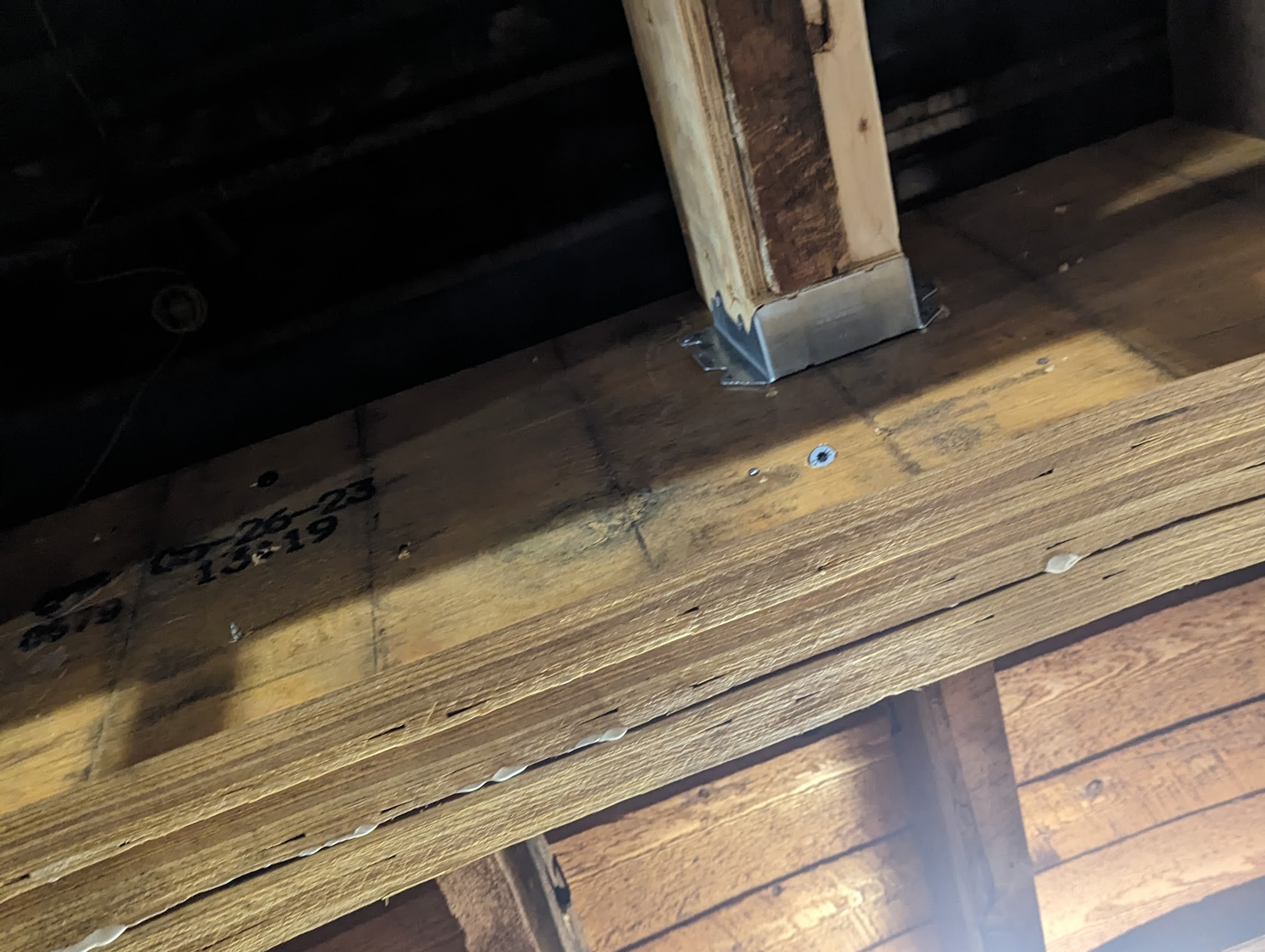 angle-view.jpeg